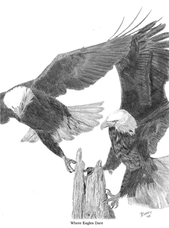 Drawings Eagles