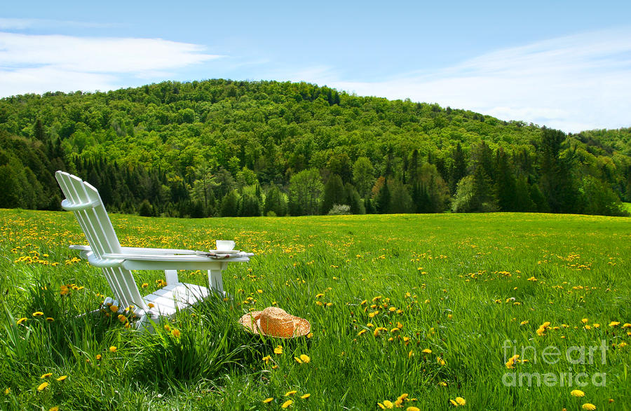 White Adirondack Chair In A Field Of Tall Grass by Sandra Cunningham