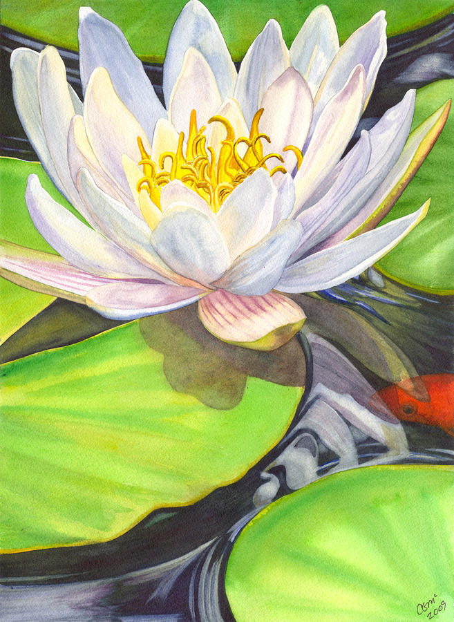 White Water Lily by Catherine G McElroy