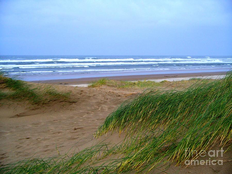 Windy Beach Photograph By Tanya Searcy