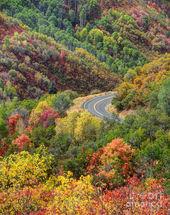 Windy Road