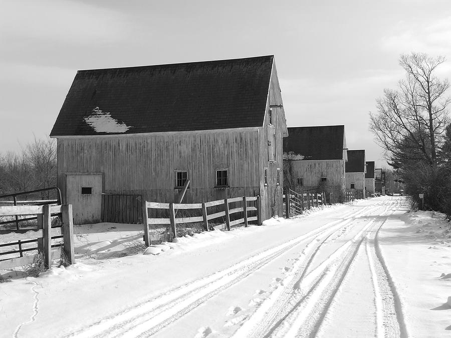  - winter-horse-barns-gabrielle-pierce