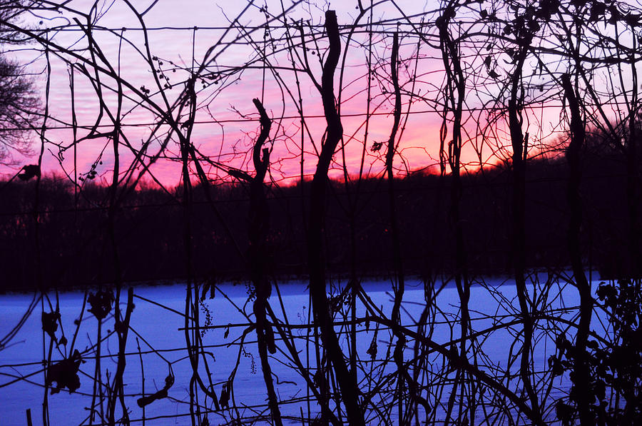  - winter-sunset-ashley-knowles