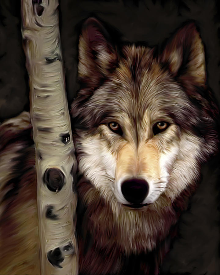 Wolf Behind Tree