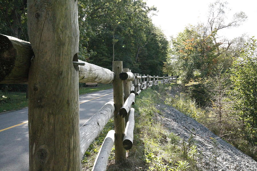  - wooden-fence-philip-porteus