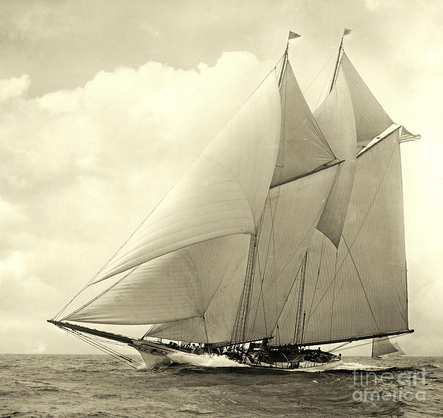 Yacht America 1910 By Padre Art