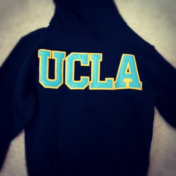 Ucla Sweater