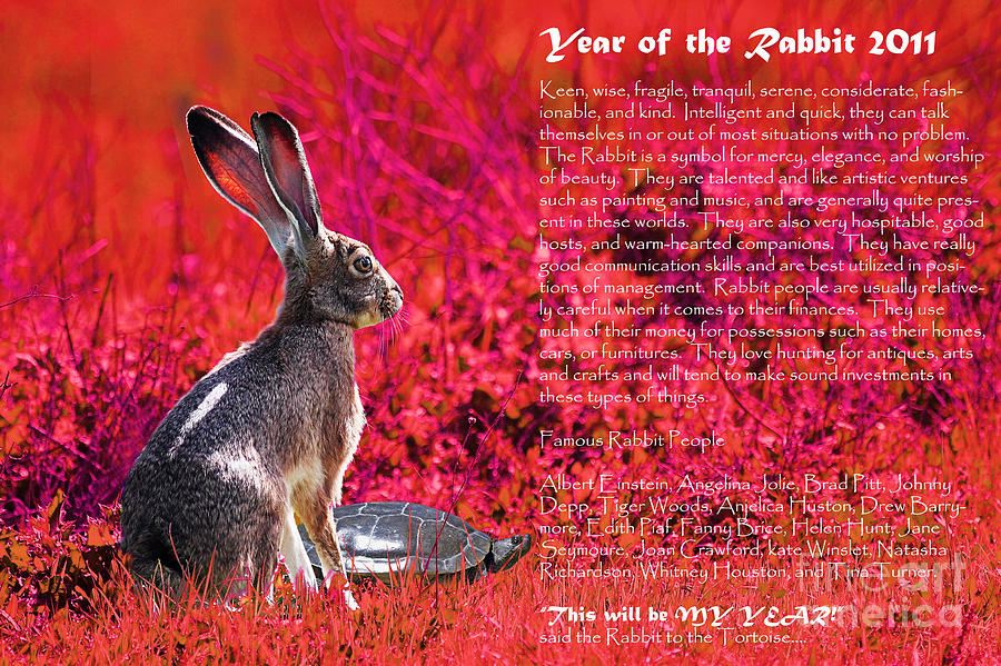 year of the rabbit (With images) | Year of the rabbit, Rabbit, Chinese