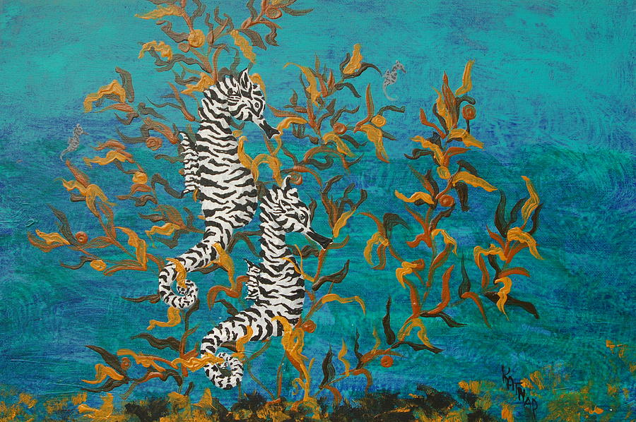 seahorses for sale