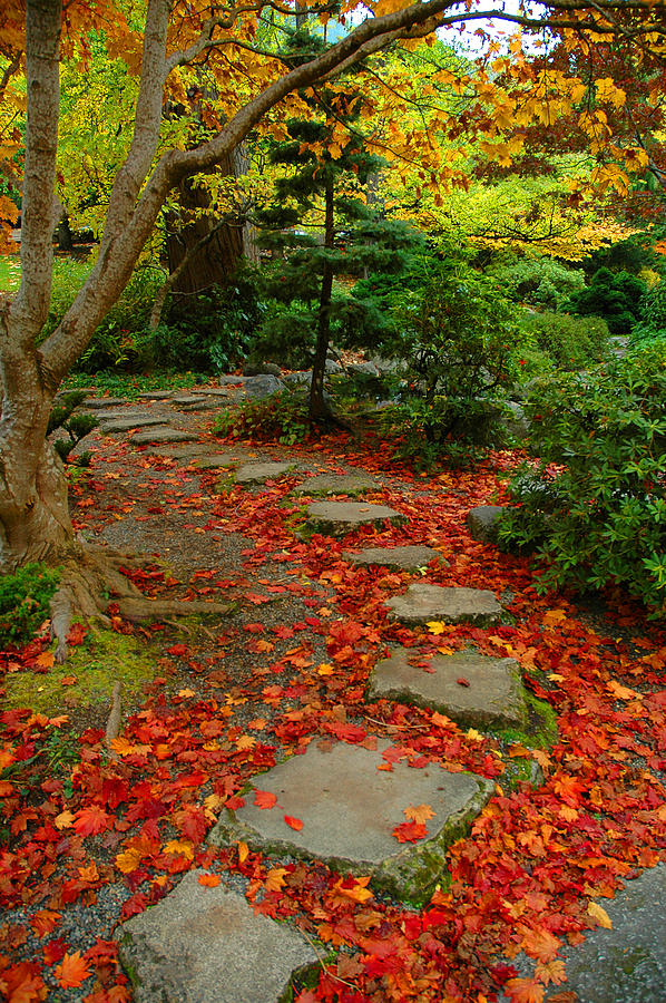 Zen Path