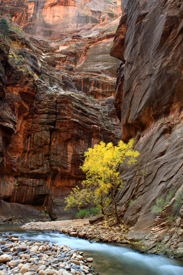 Virgin Narrows