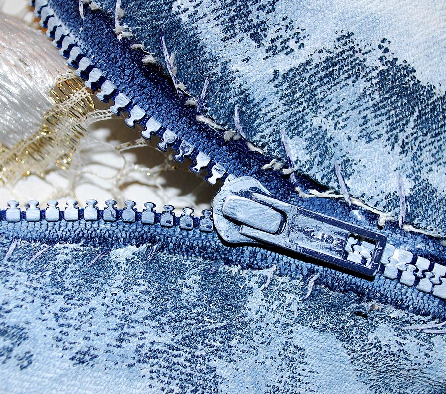 Zipper In Blue by Nancy Mueller