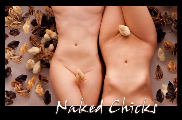 Naked Chicks 1 Photograph Naked Chicks 1 Fine Art Print Dario Infini