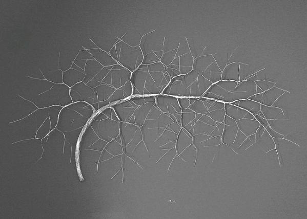 Branch Sculpture