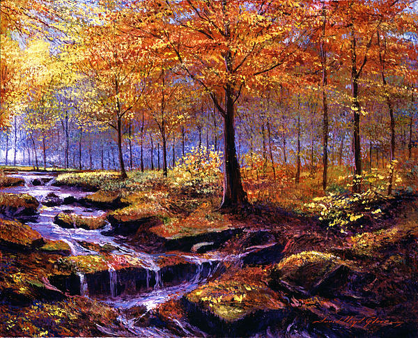 http://images.fineartamerica.com/images-medium/1-autumn-in-goldstream-park-david-lloyd-glover.jpg