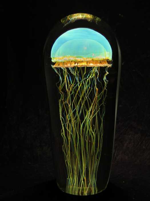 Jellyfish Artist