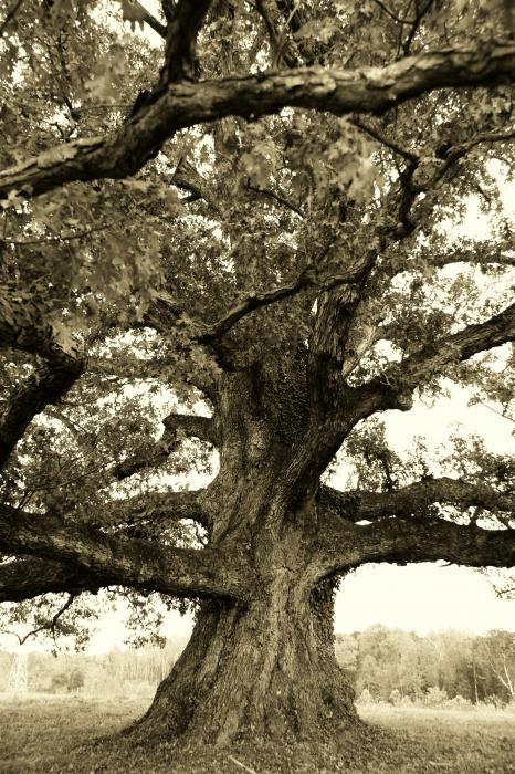 Reaching+out