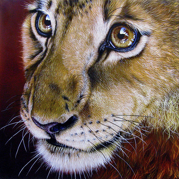 Young Lion Painting  - Young Lion Fine Art Print