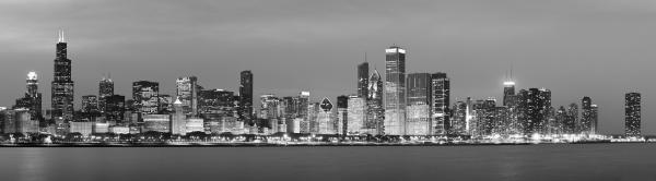 2010-chicago-skyline-black-and-white-don