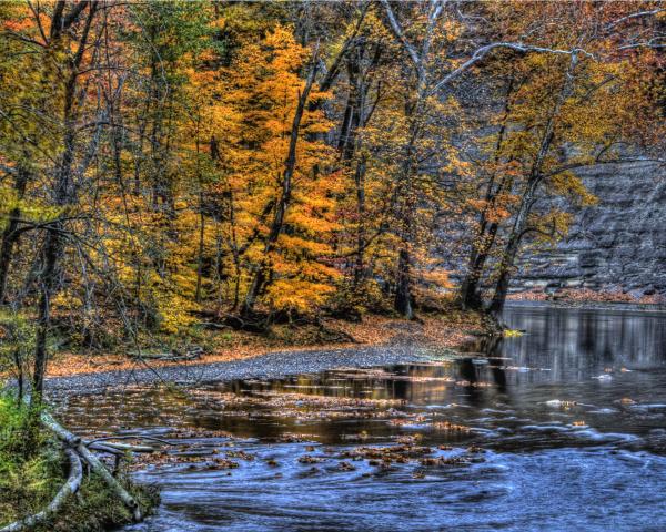 Neil River