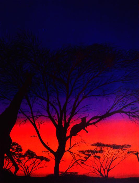 African Sunset Art