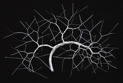 Branch Sculpture