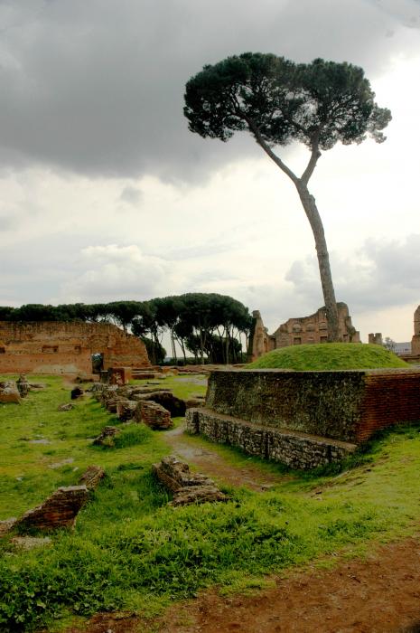 Rome Landscape