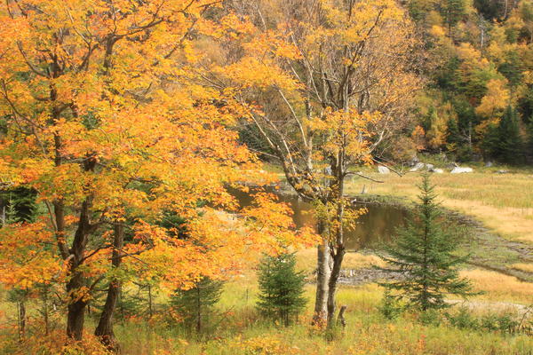 Appalachian Gap