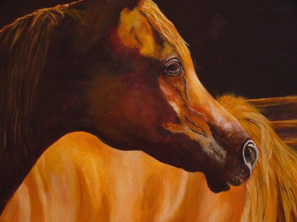 horses oil paintings