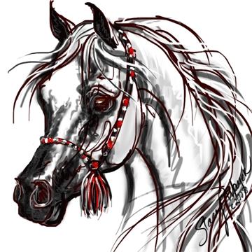 arabian horse artwork