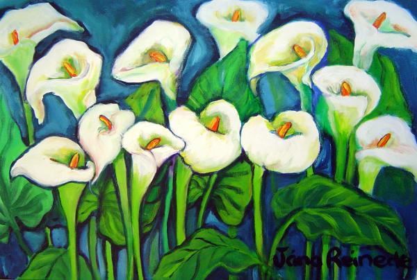 Arum Lilies