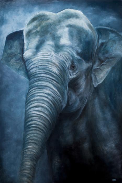 Baby Blue Elephant