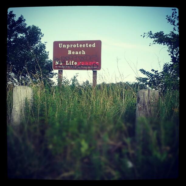 Beach Weeds