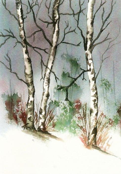Birch Trees Watercolor