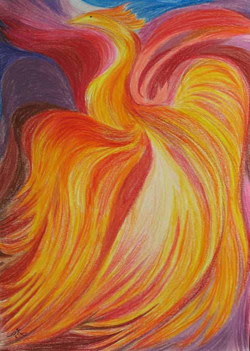 Bird of Phoenix Drawing Bird of Phoenix Fine Art Print Claudia Newman