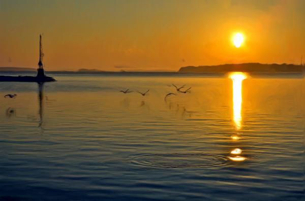 Sunrise And Birds