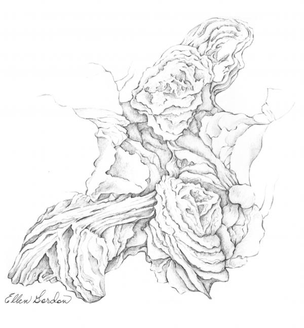 Birth Of A Sand Rose Drawing Birth Of A Sand Rose Fine Art Print Ellen Birth Of A Sand Rose Drawing Birth Of A Sand Rose Fine Art Print Ellen