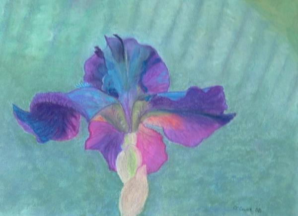 Black Iris Painting