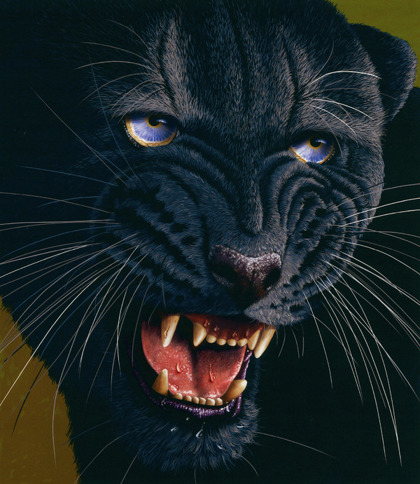Black Panther 2 Painting  - Black Panther 2 Fine Art Print