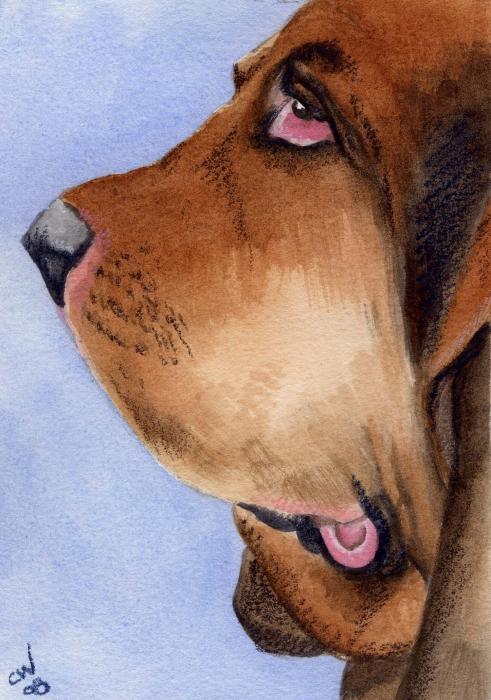 Bloodhound Painting