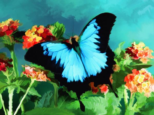 Butterfly Oil Painting