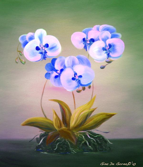 blue orchid