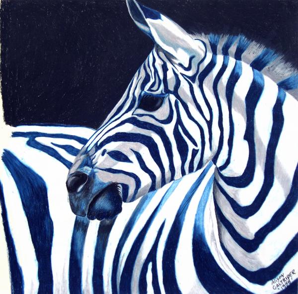 blue and zebra