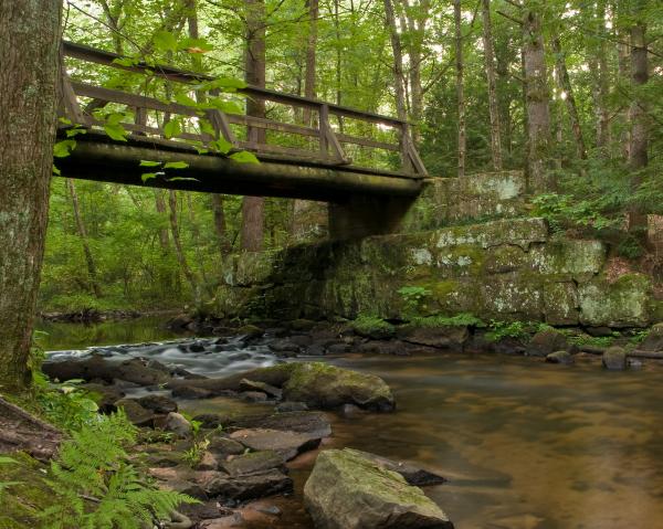 Bridges Over Water