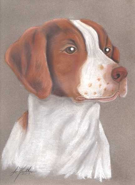 Brittany Spaniel Art