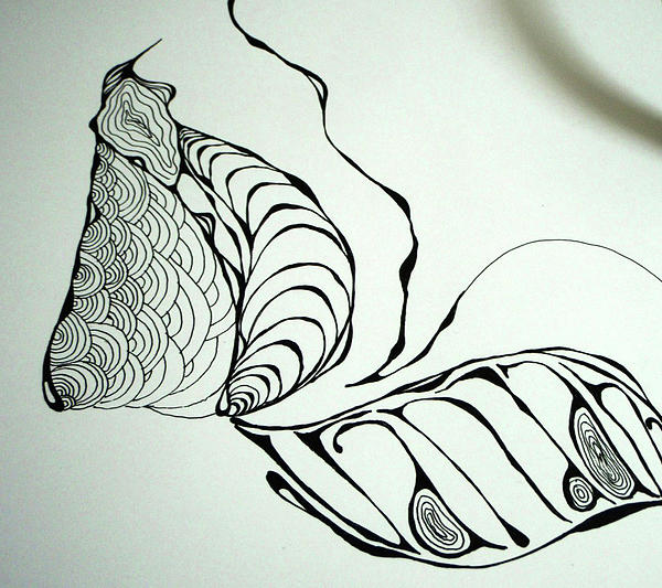 Butterfly Cocoon Drawing