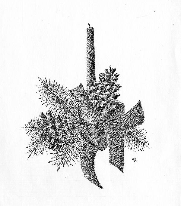 pine cone sketch