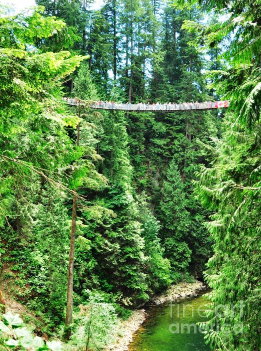  - capilano-suspension-bridge-patrick-venditti