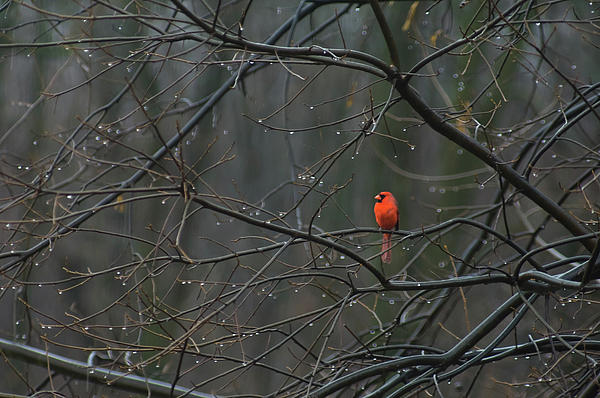 end of winter