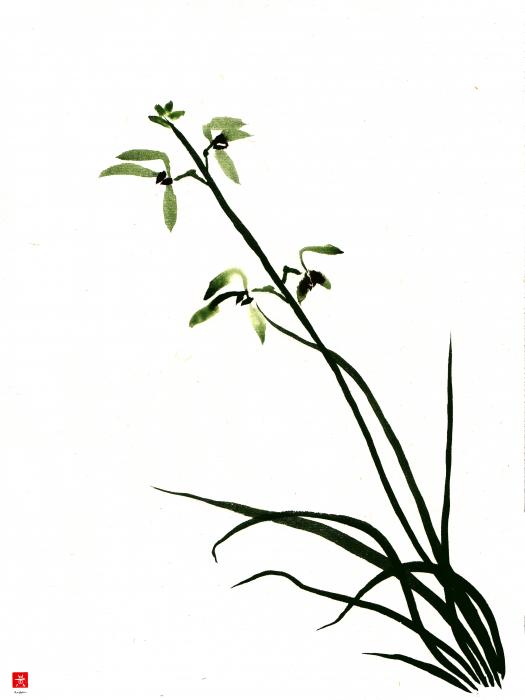 Chinese Orchid Painting